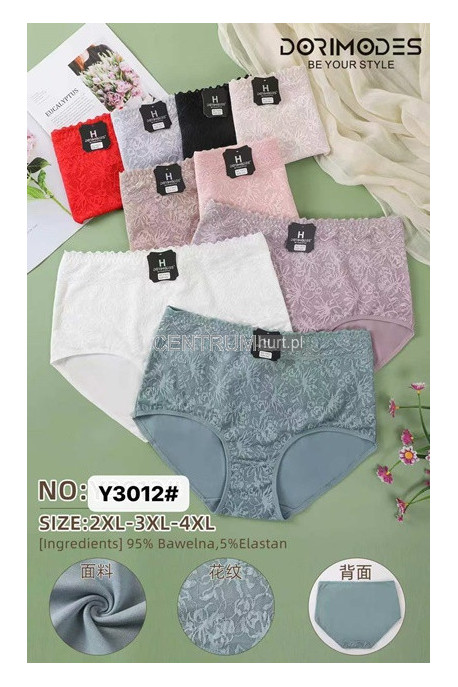 Majtki damskie (2XL-4XL) Y3012