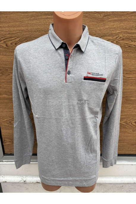 Koszulka męska (L-3XL) 8780