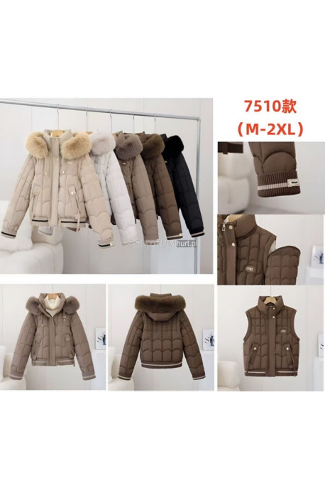 Kurtki damskie zimowe (M-2XL) 7510