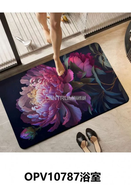 Dywan (60x90cm) 3953